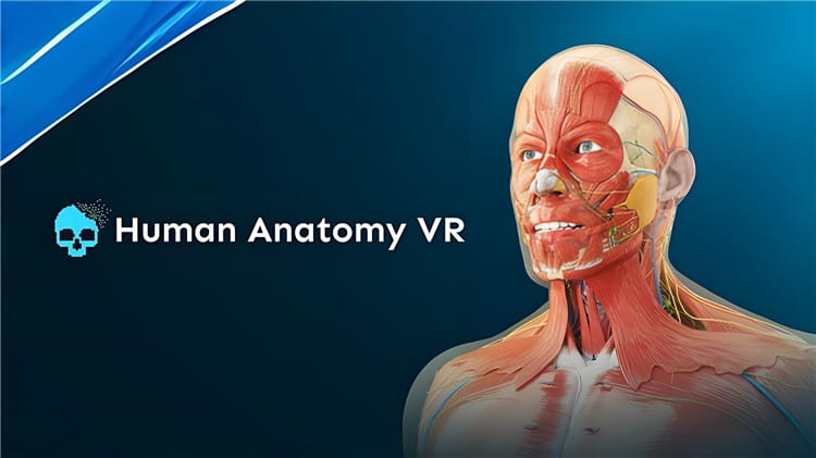 Pico游戏|人体解剖学VR|Human Anatomy VR|免费分享